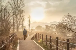 what does walking do for the body